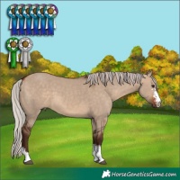 Horse Color:Silver Bay Dun Sabino