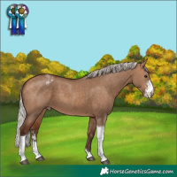 Horse Color:Silver Bay Dun Sabino Tobiano Varnish Rabicano 