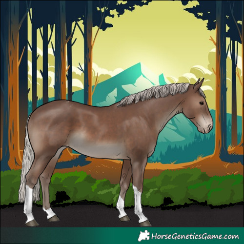 Horse Color:Silver Black Tobiano Appaloosa 