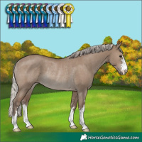 Horse Color:Silver Grullo Rabicano