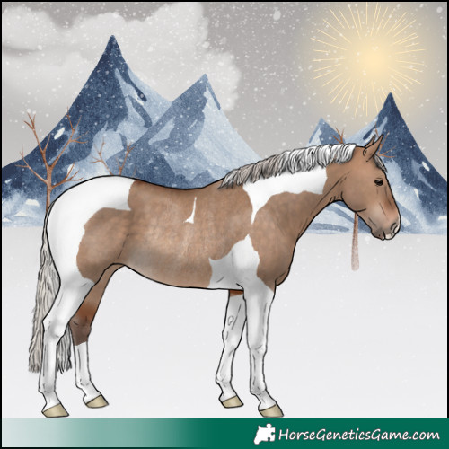 Horse Color:Silver Bay Dun Tobiano Rabicano 