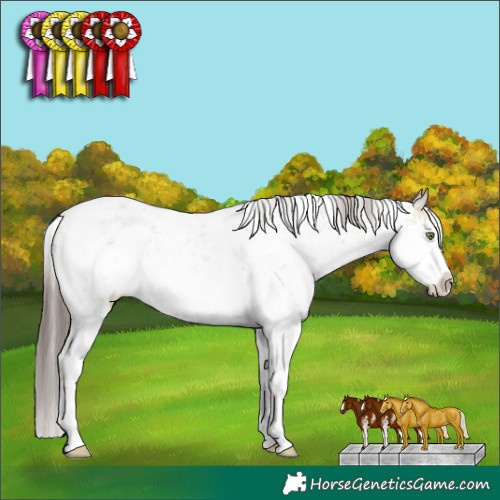 Horse Color:White Spotted Classic Champagne Dun Sabino