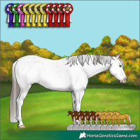 Horse Color:White Spotted Classic Champagne Dun Sabino 