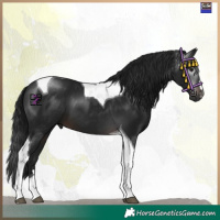 Horse Color:Gray Brown Mushroom Tobiano