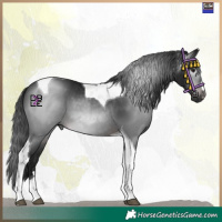 Horse Color:Gray Brown Mushroom Tobiano