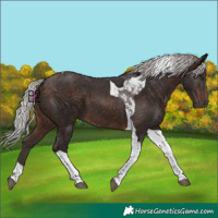 Horse Color:Silver Brown Mushroom Tobiano