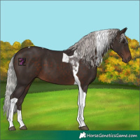 Horse Color:Silver Brown Mushroom Tobiano 