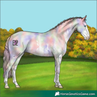 Horse Color:Nacre Perlino Dun Sabino
