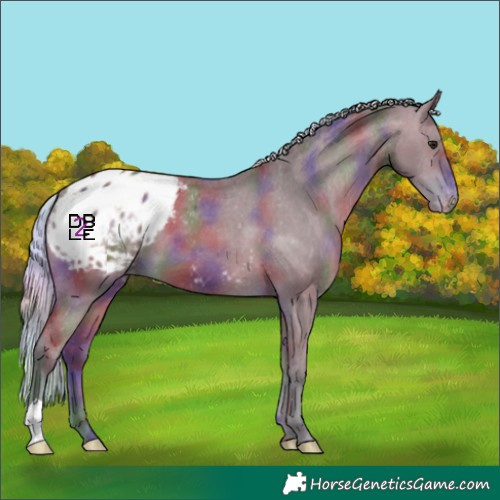 Horse Color:Nacre Silver Bay Appaloosa