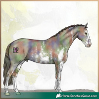 Horse Color:Nacre Red Dun Sabino 