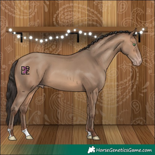 Horse Color:Sable Champagne 
