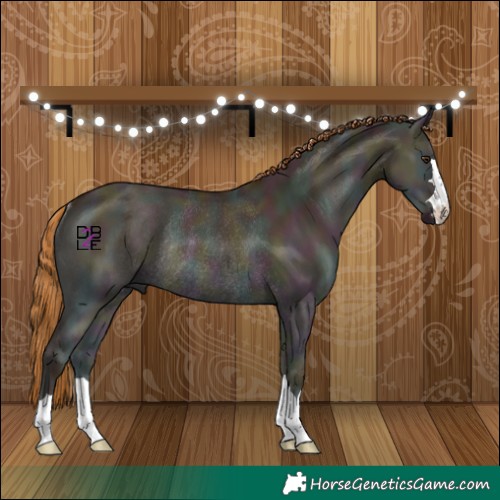 Horse Color:Midnight Red Dun Ice Onyx Rabicano 