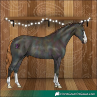Horse Color:Midnight Red Dun Ice Onyx Rabicano 