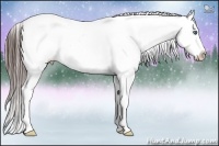 Horse Color:Bay Splash Tobiano Appaloosa