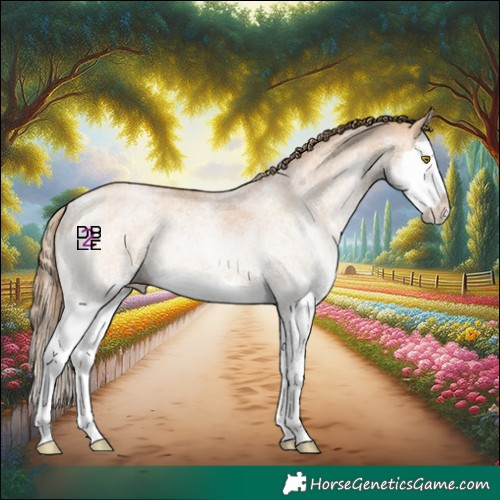 Horse Color:White Spotted Brown Pearl Dun Splash 