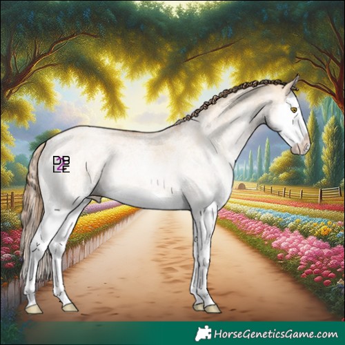 Horse Color:White Spotted Brown Pearl Dun Splash 