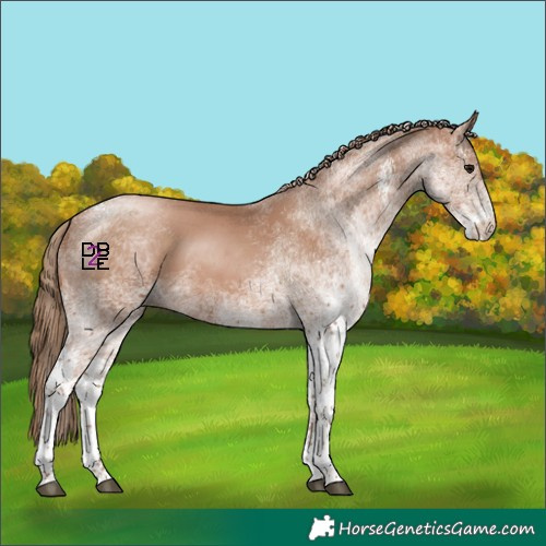 Horse Color:White Spotted Black Pearl 