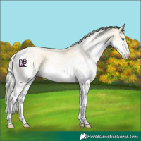 Horse Color:White Spotted Silver Buckskin Pearl Dun Splash 