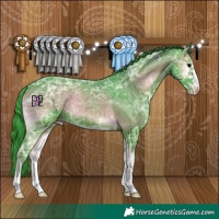 Horse Color:Watercolor Blue Onyx Ice Appaloosa 