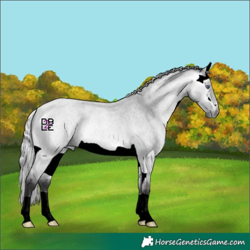Horse Color:Silver Buckskin Chinchilla Roan 