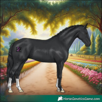 Horse Color:Black Chinchilla 