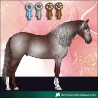 Horse Color:Gray Chocolate Black 