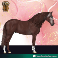 Horse Color:Gray Chocolate Black 