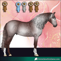 Horse Color:Gray Chocolate Black