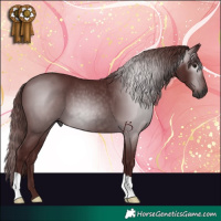Horse Color:Gray Chocolate Black
