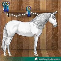 Horse Color:Gray Chestnut 