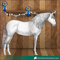 Horse Color:Gray Chestnut