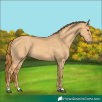Horse Color:Red Dun