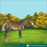 Horse Color:White Spotted Silver Buckskin Mushroom Tobiano Rabicano