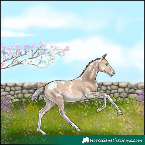 Horse Color:White Spotted Silver Perlino Tobiano Rabicano
