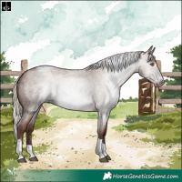 Horse Color:Gray Silver Blue Roan Pearl Tobiano 