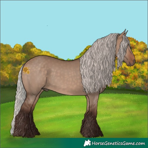 Horse Color:Silver Brown Dun Rabicano 