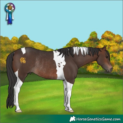 Horse Color:Brown Tobiano Rabicano 