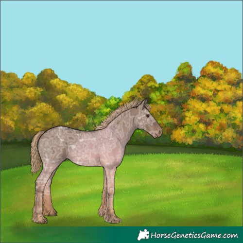 Horse Color:Liver Red Dun Ice Varnish 
