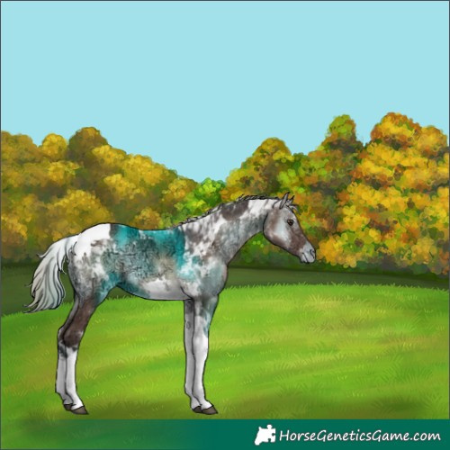 Horse Color:Liver Red Onyx Ice Tobiano 