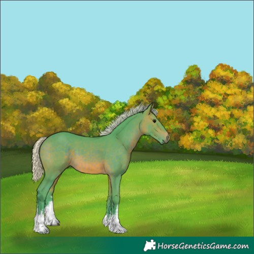 Horse Color:Watercolor White Spotted Silver Brown