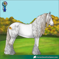 Horse Color:Gray White Spotted Chocolate Palomino Tobiano Snowflake Varnish 