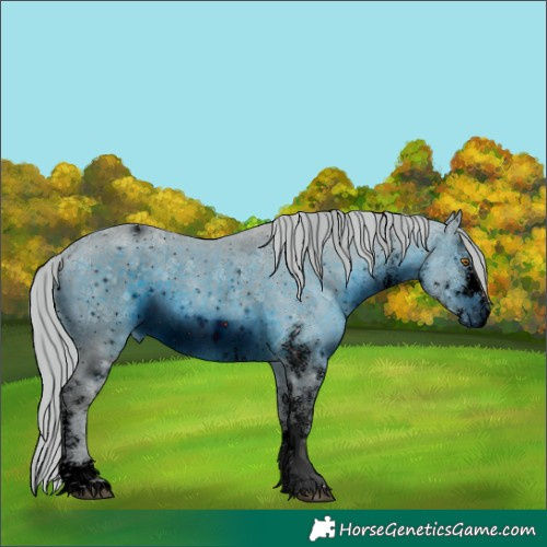 Horse Color:ERROR: UNKNOWN ANOMALY