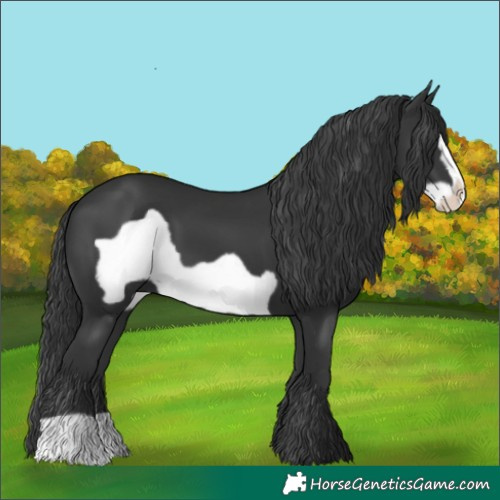 Horse Color:Black Frame