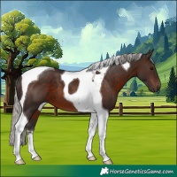 Horse Color:Silver Brown Tobiano 