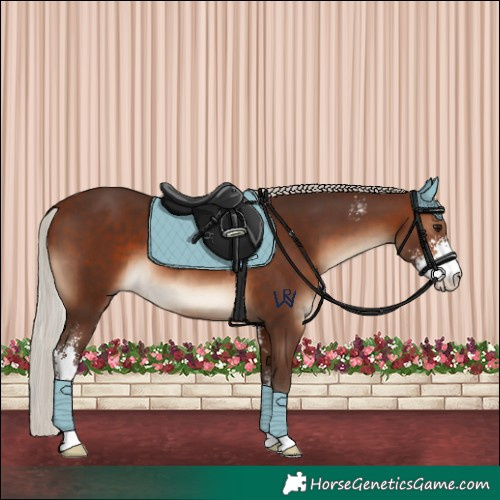 Horse Color:Silver Brown Sabino