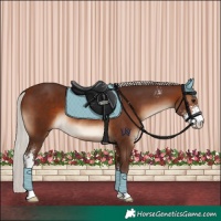 Horse Color:Silver Brown Sabino 