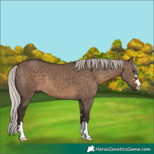 Horse Color:Silver Brown Dun
