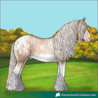 Horse Color:Chocolate Palomino Pearl Tobiano Frame and Chocolate Palomino Pearl Tobiano Frame Appaloosa