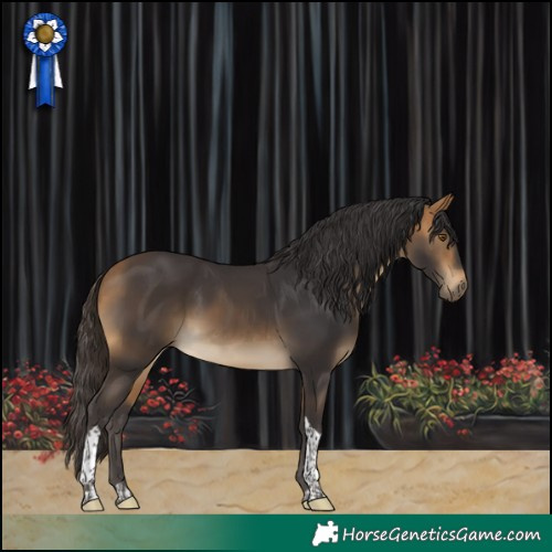 Horse Color:Buckskin Tobiano 