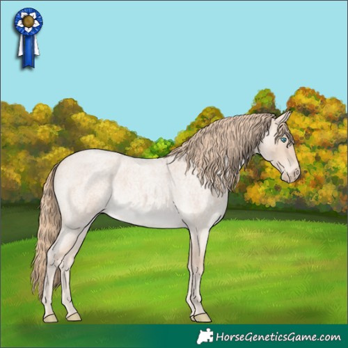 Horse Color:Perlino Roan 